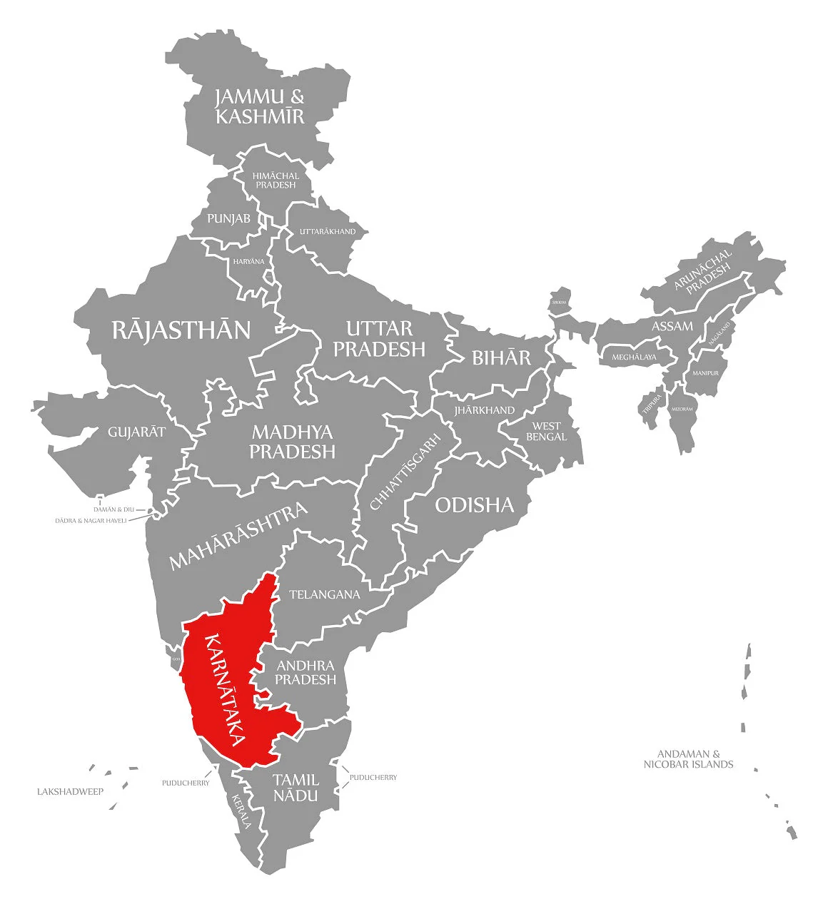 India Monsooned Malabar | Boxes - Image 3